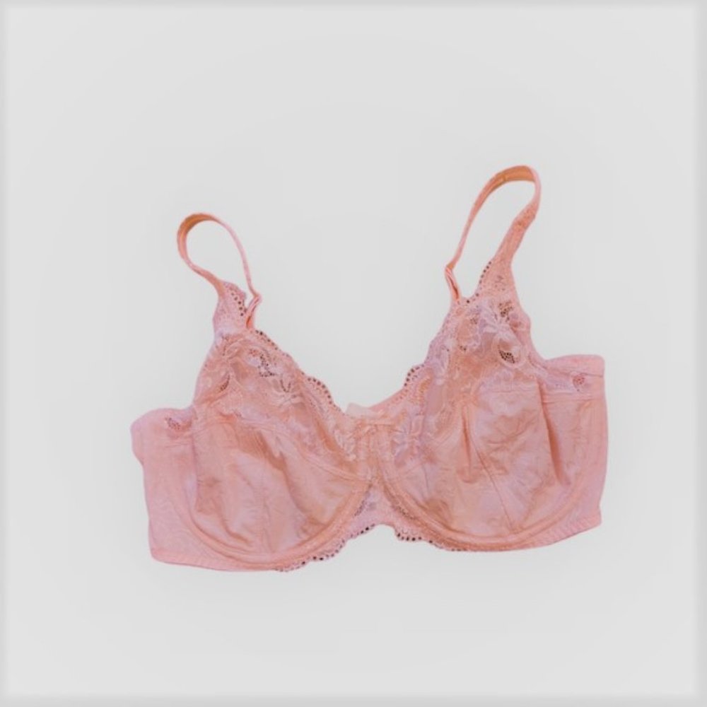 Vintage Pink Lace Barely Breezies Cottagecore Underwire Bra